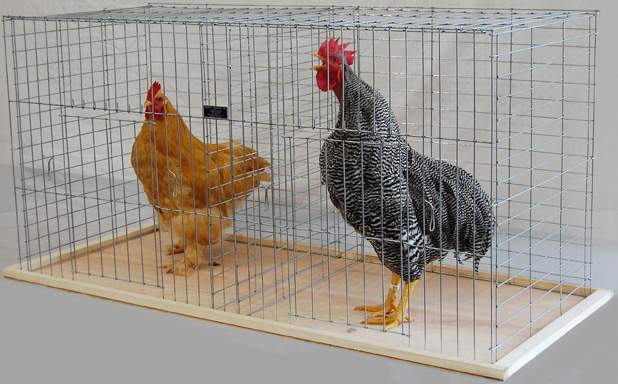 Keipper Cooping Poultry Coop
