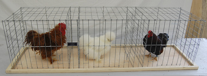Keipper Cooping Poultry Coop